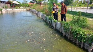 Bhabinkamtibmas Tropodo Krian Gandeng Warga Kembangkan Budidaya Ikan Nila untuk Dukung Ketahanan Pangan