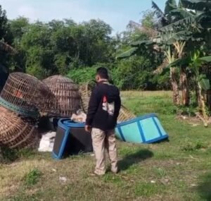 Polsek Krian Grebek Lokasi Sabung Ayam di Sedengan Mijen, Puluhan Barang Bukti Diamankan